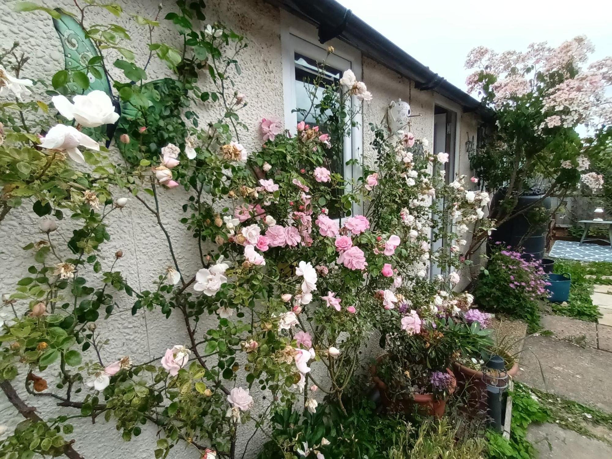 Private Suite In Oxfordshire, A40 威特尼 外观 照片